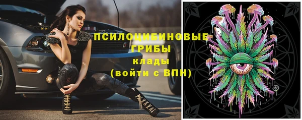 гидропоника Арсеньев