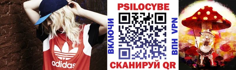 купить закладку Куса Галлюциногенные грибы мицелий